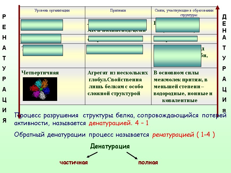 ДЕНА Т У Р А Ц И я Р Е Н А Т У